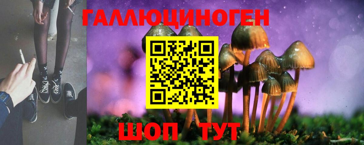 Крымск  Псилоцибиновые грибы мицелий  Вход с VPN 