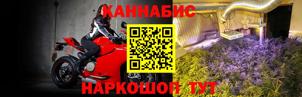 Бошки Шишки семена Крымск